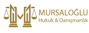 Başlıksız-2